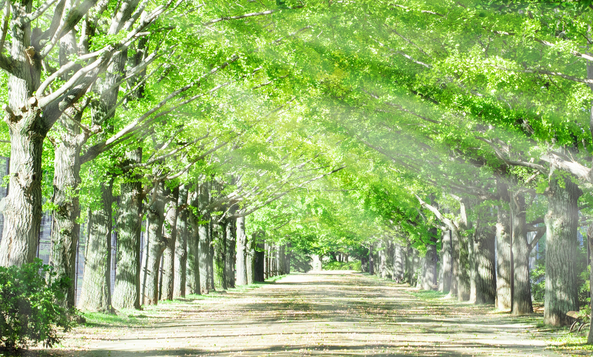 愛知県名古屋市のさわいグループは、名古屋市熱田区大宝の調剤薬局「たいほう薬局」を運営しています。